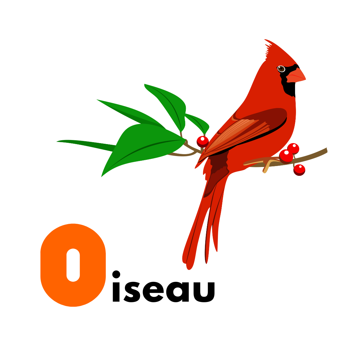 French Christmas Alphabet Gogu Education Letter O oiseau