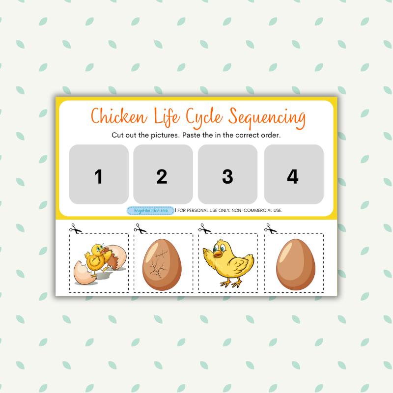 Chicken Life Cycle Sequencing