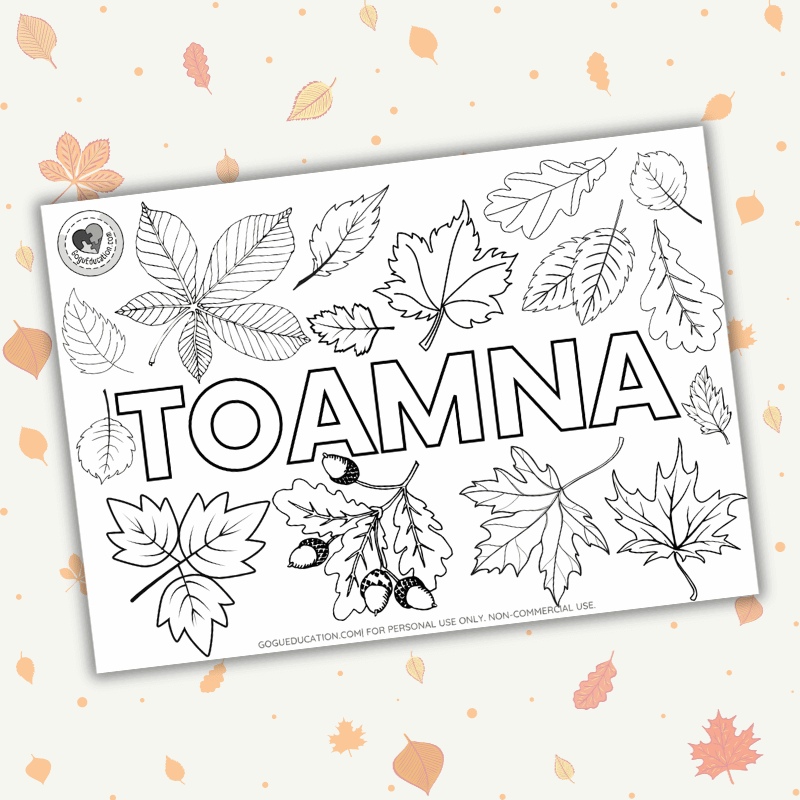 Romanian Coloring Worksheet Autumn Word Toamna