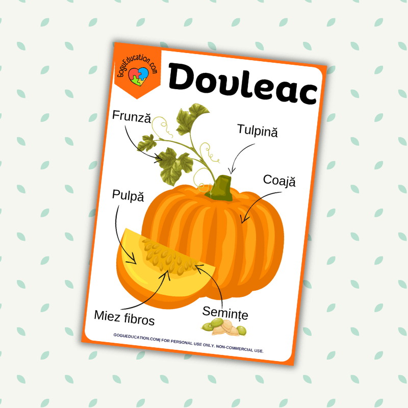 Poster Dovleac Romanian Vocabulary Science Worksheets Parts of a Pumpkin