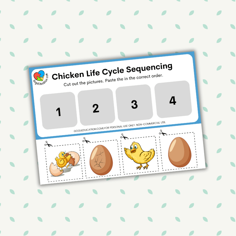 English Chicken Life Cycle Sequencing