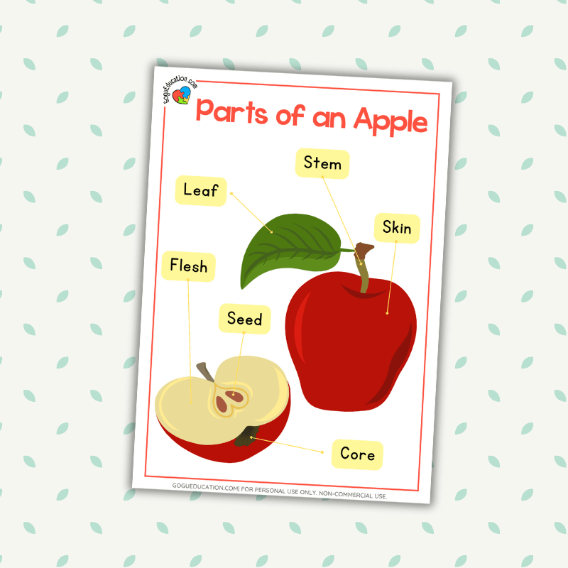 English Poster Parts of an Apple