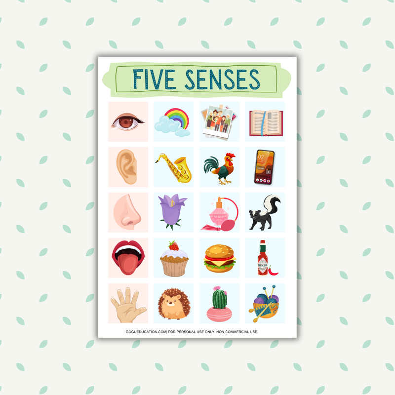 English Printable Five Senses