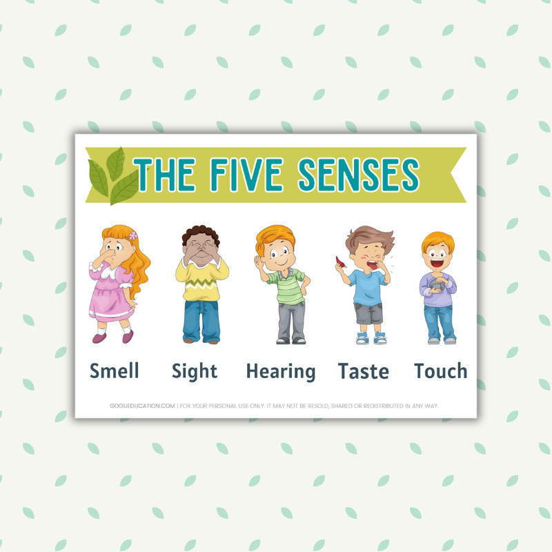 Printable The Five Senses English Gogu Education