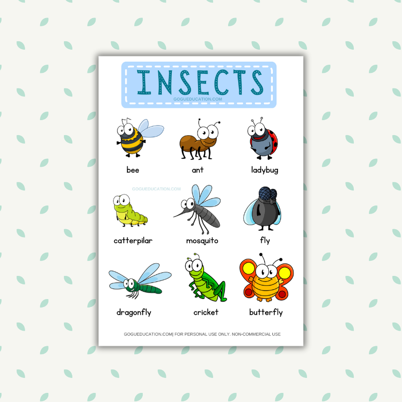 English Vocabulary Insects Poster Gogu Education