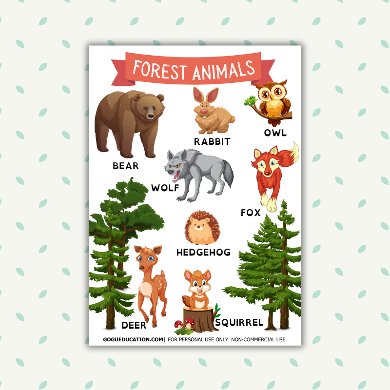 Forest Animals Poster Gogu Education