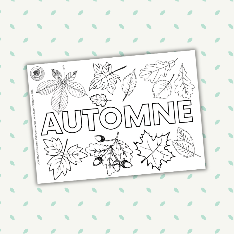 French Autumn Fall Coloring Worksheet