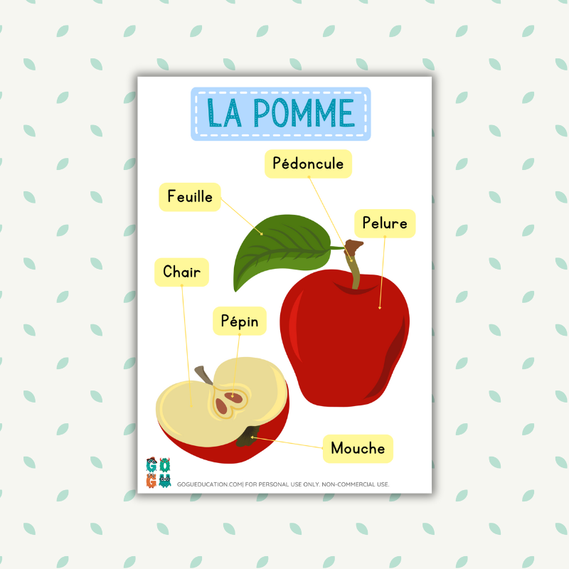 French Poster Apple Identification des parties de la pomme Poster