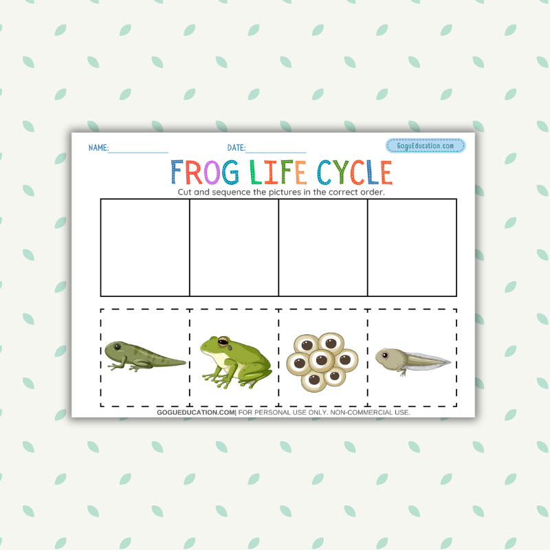 Frog Life Cycle Science Worksheet