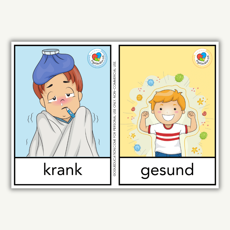 German Opposites Words Flashcards