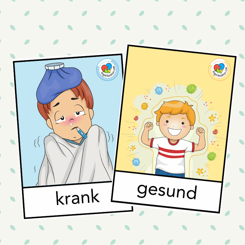 German Opposites Words Vocabulary Flashcards
