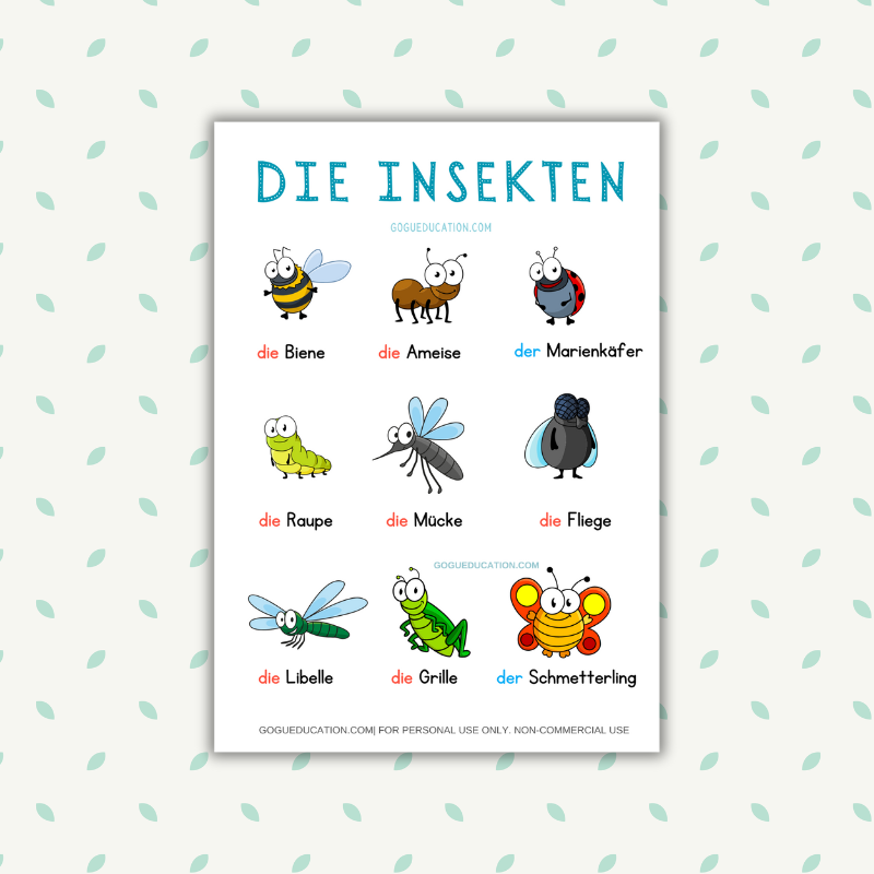 German Insects Die Insekten Vocabulary