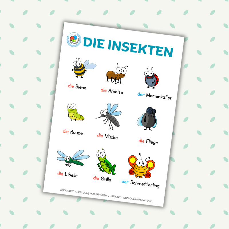Insects Die Insekten Vocabulary