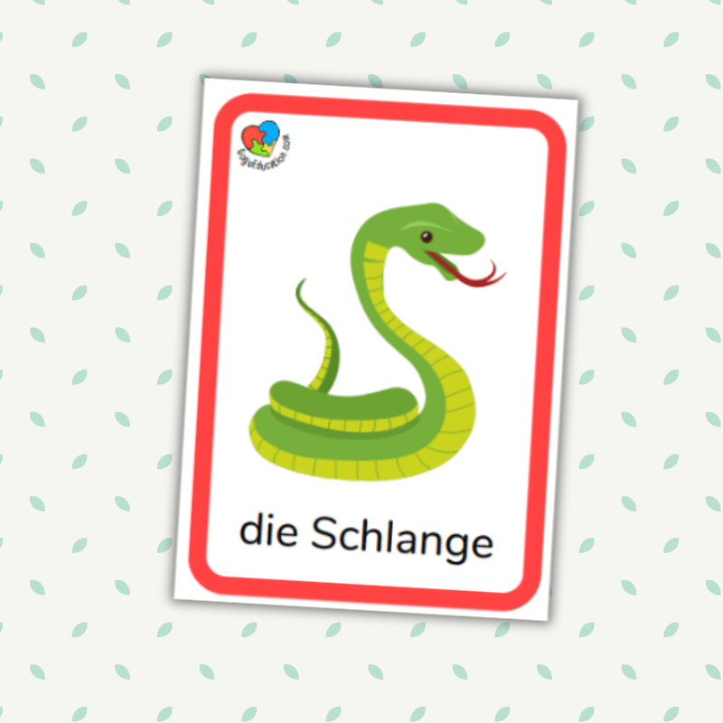 German Vocabulary Zoo Animals Words