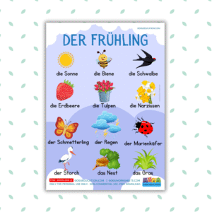 German Vocabulary Spring der Frühling -12 Words