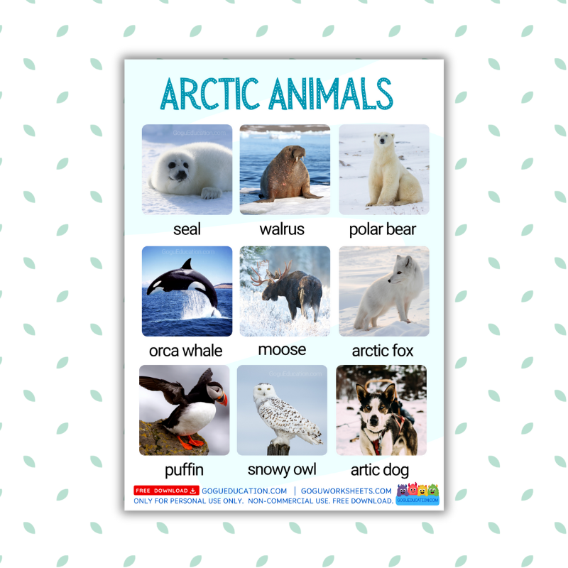 Vocabulary Arctic Animals - 18 words