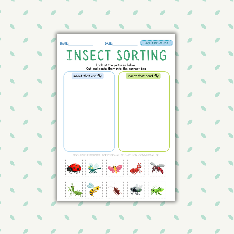 Insect Sorting Worksheet