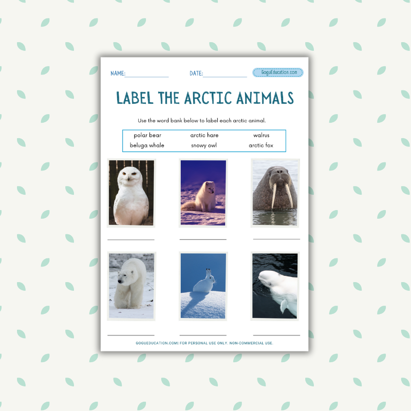 Label the Arctic Animal Worksheet for Speech Therapy