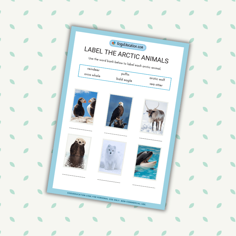 English Vocabulary Arctic Animals Label Worksheet