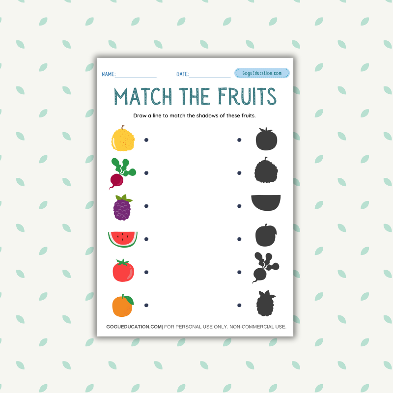 Math Worksheet Matching Shadow of Fruits