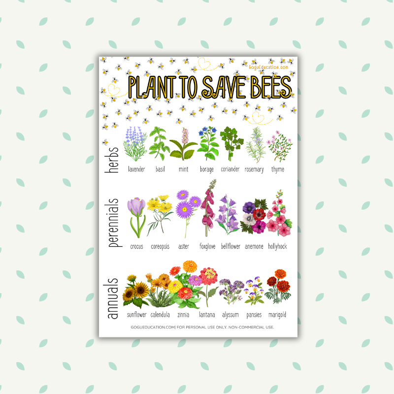 Poster Plant these plants to help save bees Gogu Education