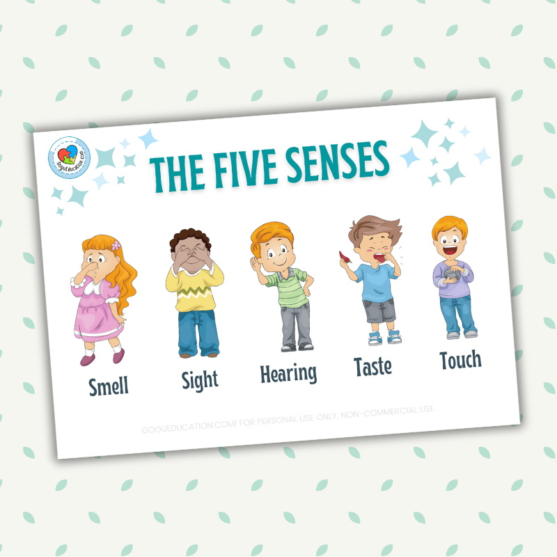 Printable The Five Senses English Worksheets Gogu Education