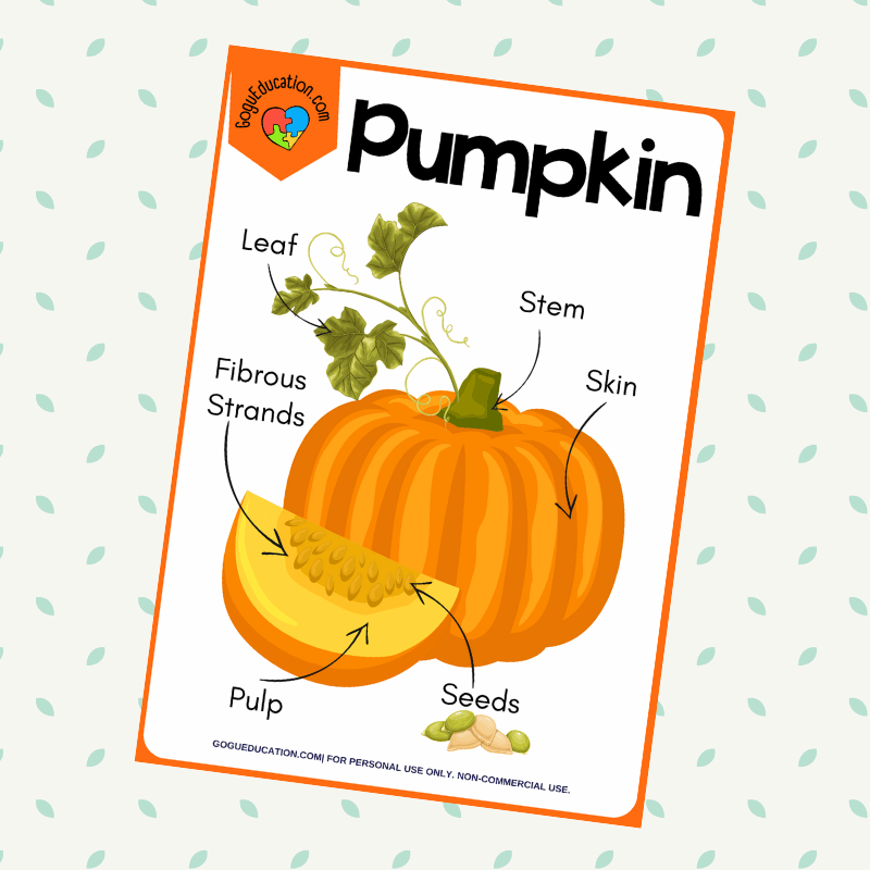 English Vocabulary Science Worksheets Parts of a Pumpkin