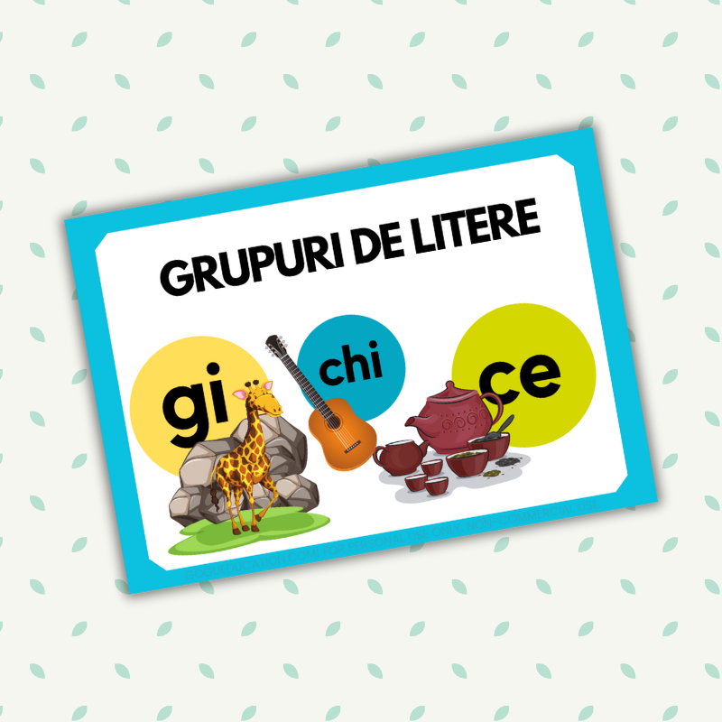 Romanian Grupuri de Litere Gogu Education