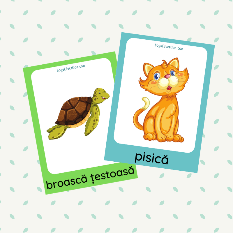 Romanian Flashcards Animale domestice Gogu Education