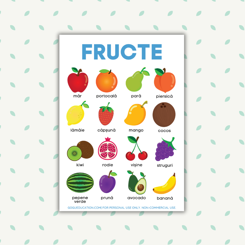 Romanian Vocabulary Fruits Poster