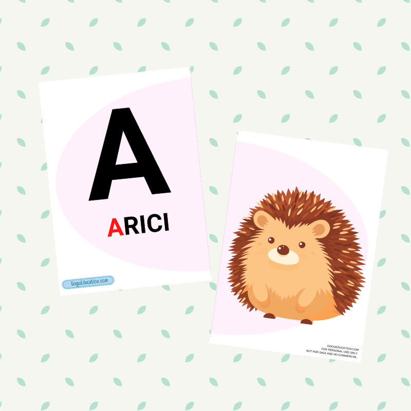 Romanian Flashcards Letters Alphabet Cards Gogu Education