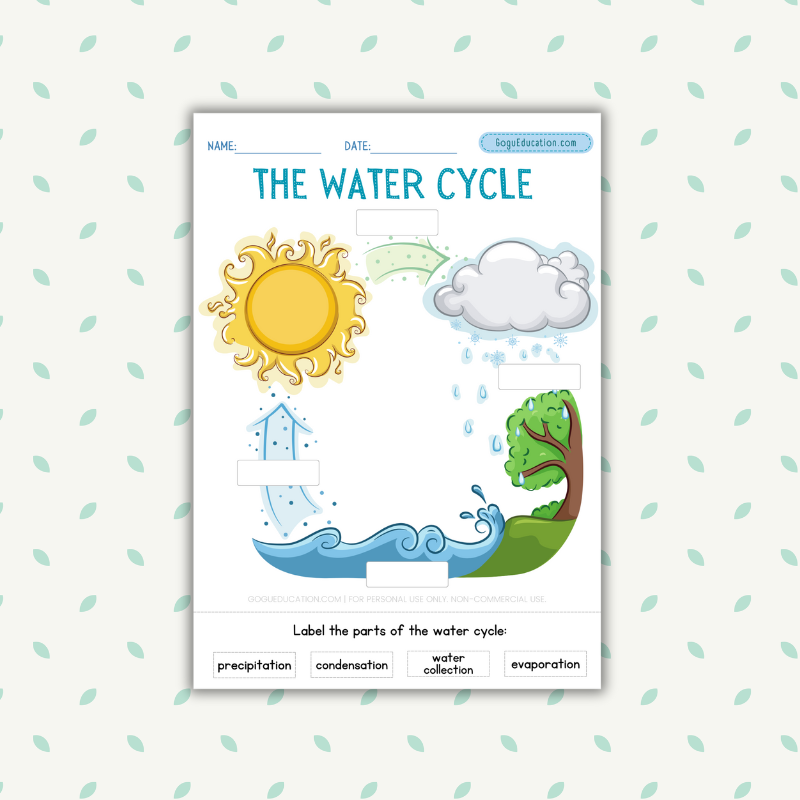 Science Worksheet Water Cycle Science Gogu Education