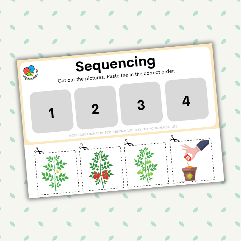 Science Worksheet Tomato Life Cycle Sequencing Cards Gogu Education