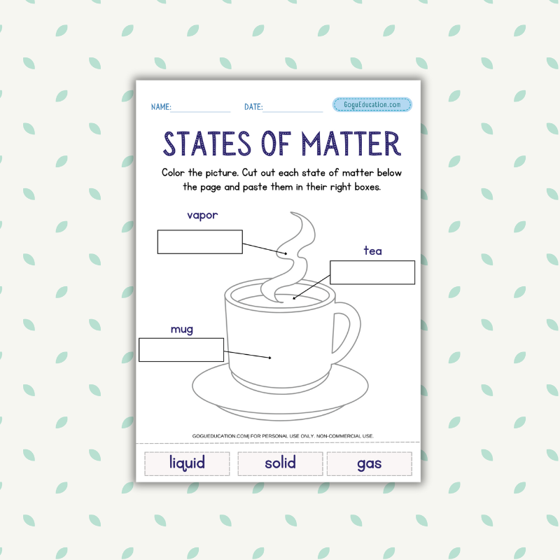 States of Matter Science Worksheet Gogu Education