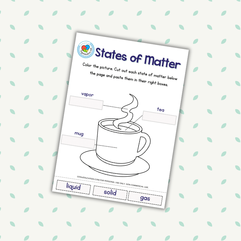 States of Matter Science Worksheet