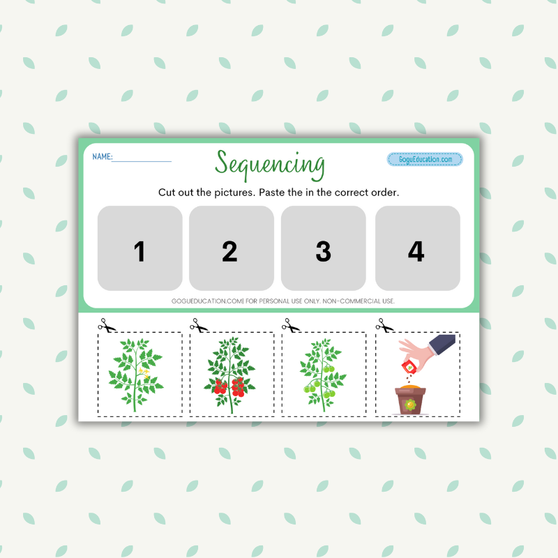 Tomato Life Cycle Sequencing