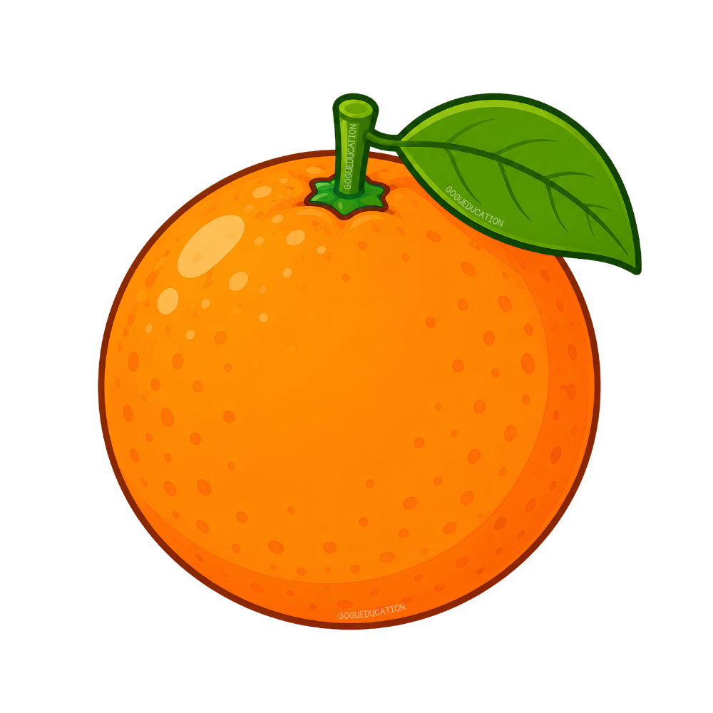 Orange illustration for the French word orange