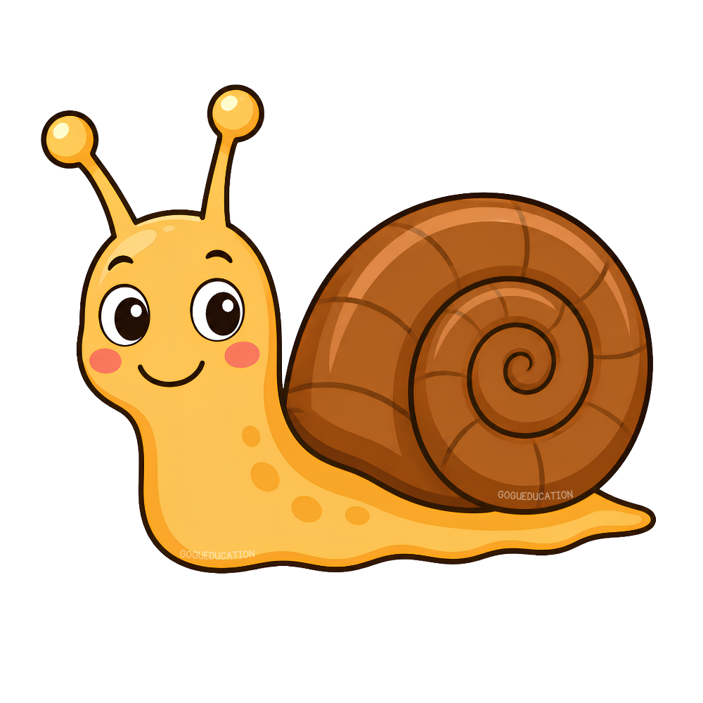 Snail illustration for the French word escargot